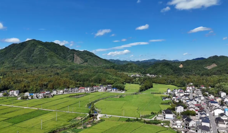 青磚黛瓦的千年古村。