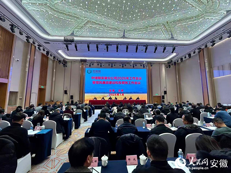 会议现场。人民网记者 高飞跃摄
