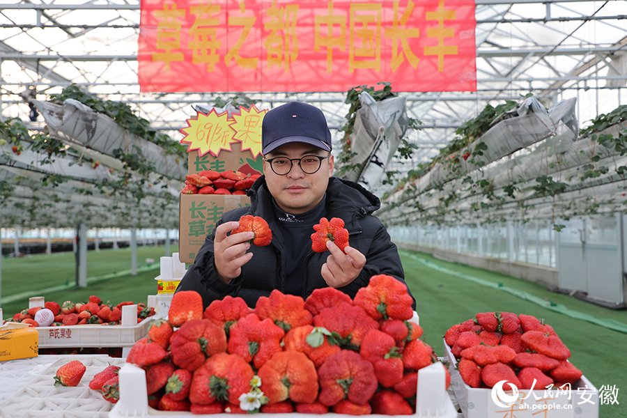 主播在直播间展示造型各异的草莓。人民网记者 王晓飞摄