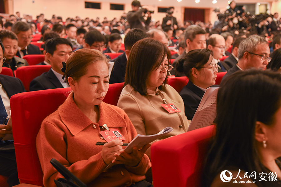 会议听取政府工作报告。人民网记者 李希蒙摄