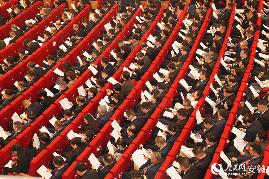 会议听取政府工作报告。人民网记者 陈若天摄