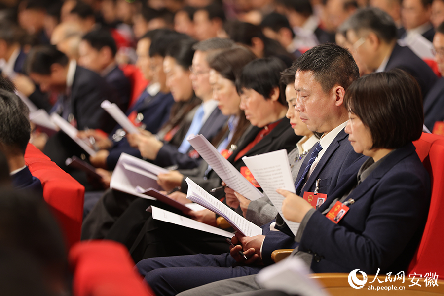 会议听取政府工作报告。人民网记者 王晓飞摄