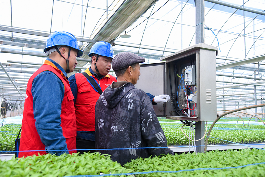 国网和县供电公司工作人员正在向农户介绍电箱使用规范。人民网记者 李希蒙摄