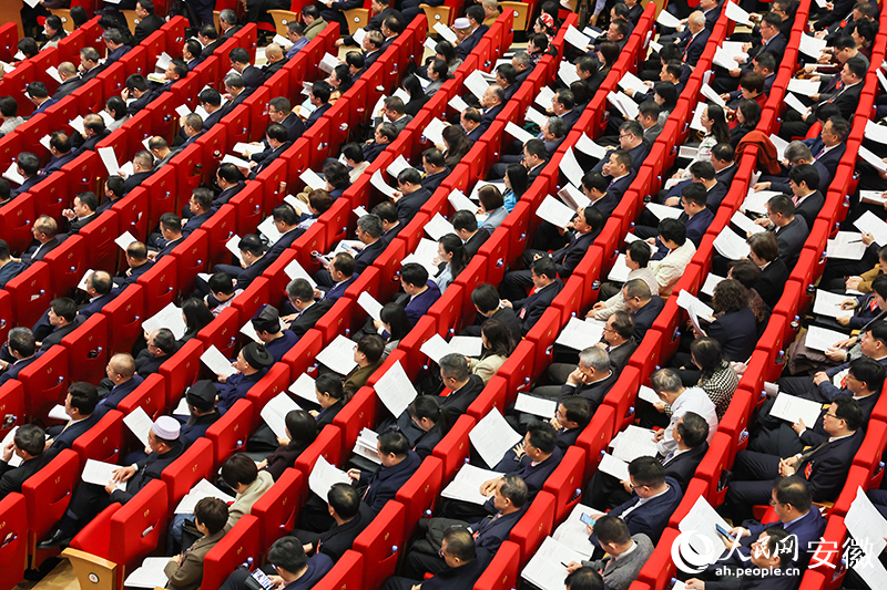 会议现场。人民网记者 张俊摄