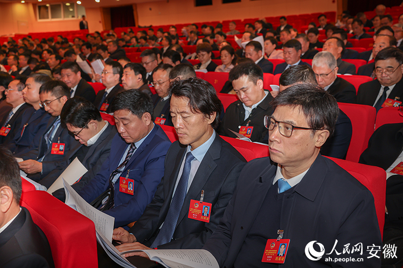 政协委员聆听大会发言。人民网记者 张俊摄