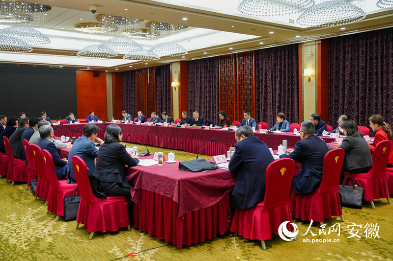 安徽省政协医卫界别委员分组讨论现场。人民网记者 王锐摄