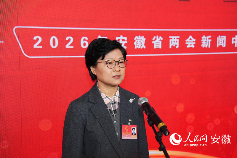 安徽省发展改革委主任、党组书记陈军。人民网记者 苗子健摄