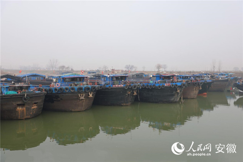 港口停泊的货船。人民网记者 王晓飞摄