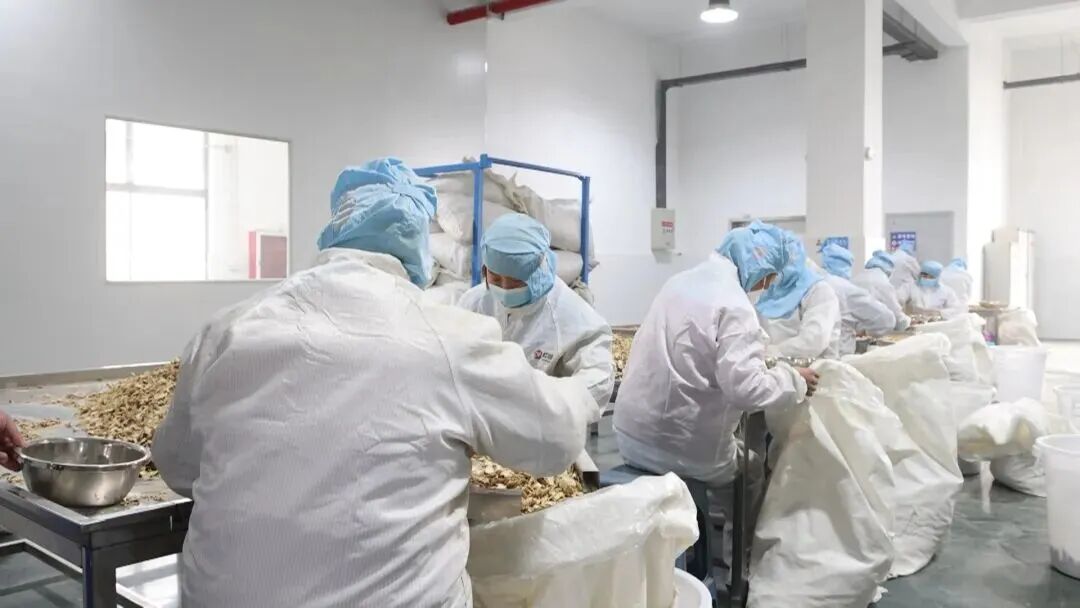 阜阳某生姜生产企业车间。