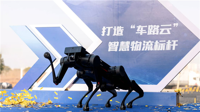 活动现场。合肥经开区党政办供图