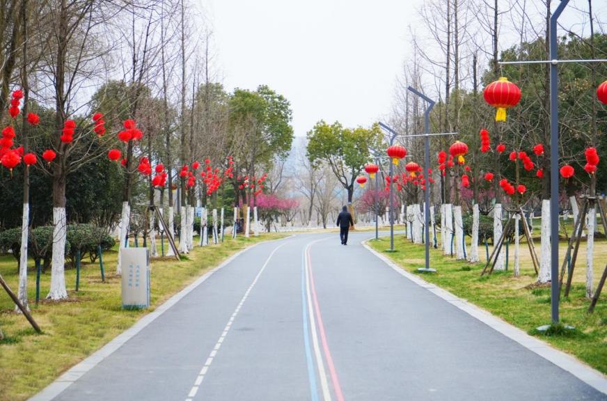 蜀西湖公园园路。