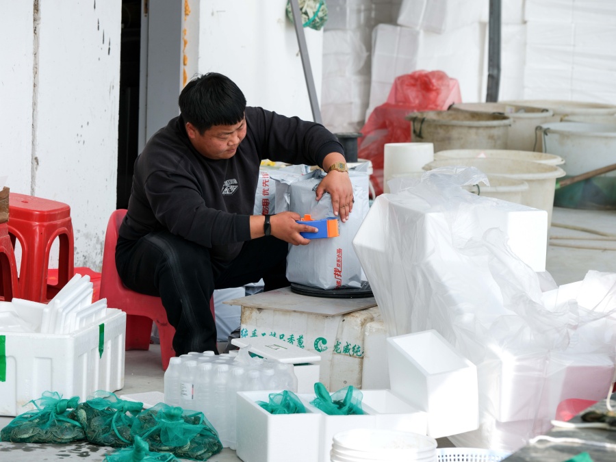 安徽五河：蟹農“變身”主播 拓銷路增收益【5】