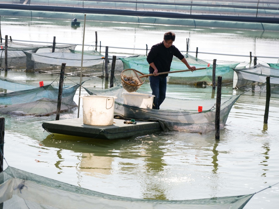 安徽五河:蟹農“變身”主播 拓銷路增收益【2】
