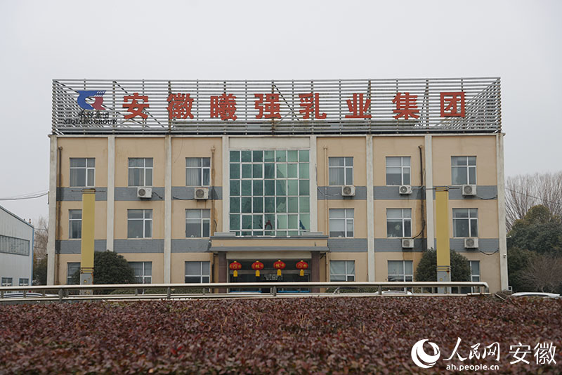 曦强乳业。人民网记者 王晓飞摄