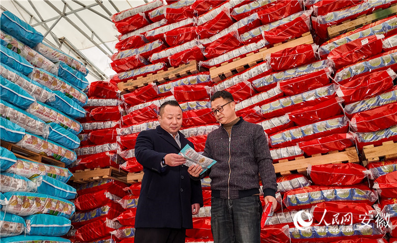 江正发（右）在介绍种子产品。人民网记者 陶涛摄