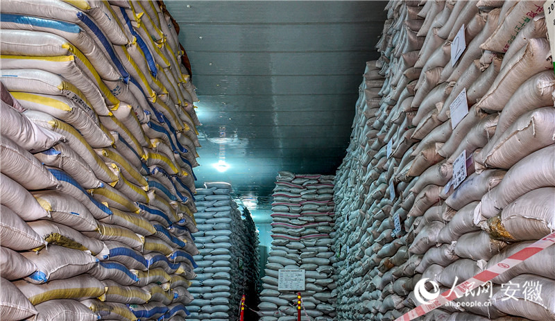 昇谷农业仓库里种子一袋一袋堆到屋顶。人民网记者 陶涛摄