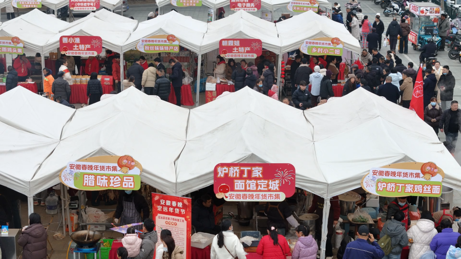 众多电商达人齐聚2026定远年货大集。