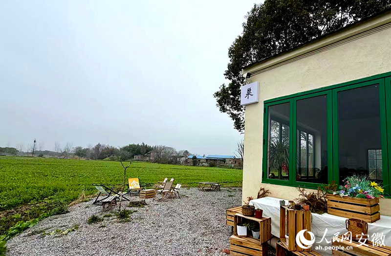 归巢村咖一隅。人民网记者 汪瑞华摄