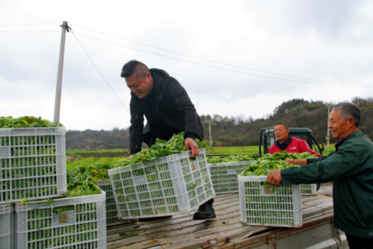 黄山百家乐- 百家乐官方网站- APP下载市徽州区：“油蔬两