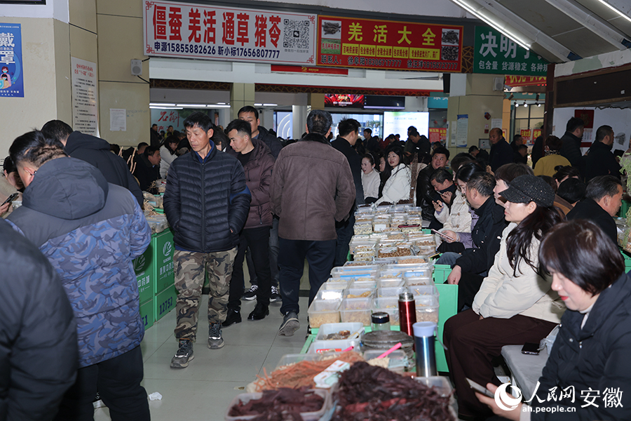 亳州中药材专业市场内,中药材销售生意红火。人民网记者 王晓飞摄