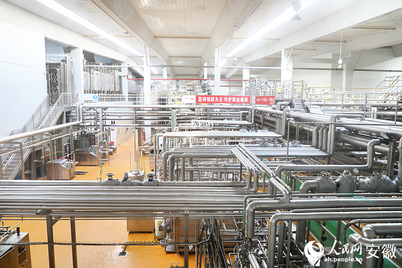 ?安徽新希望白帝乳業有限公司生產線。人民網 郭昊攝
