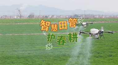 安徽铜陵：智慧田管护春耕