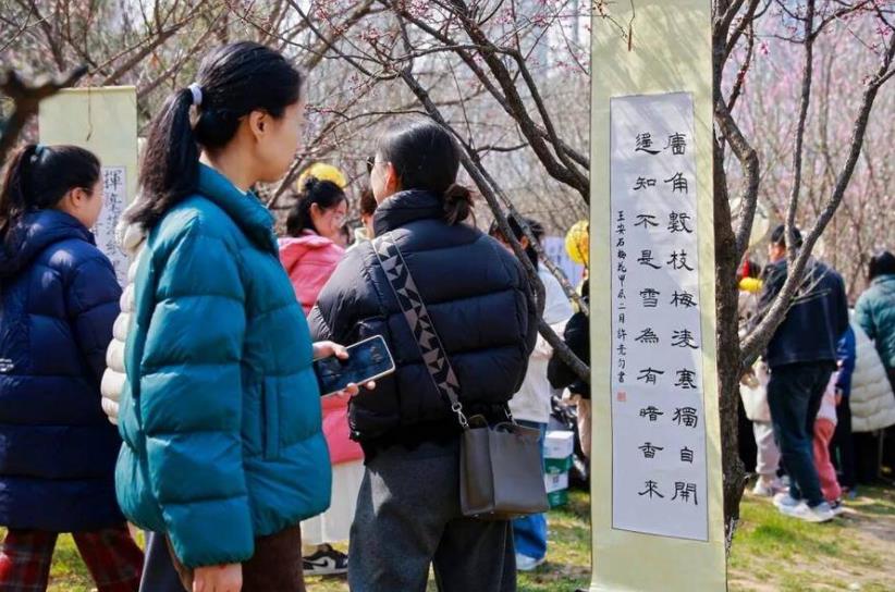 市民游客漫步梅林,品读古诗。