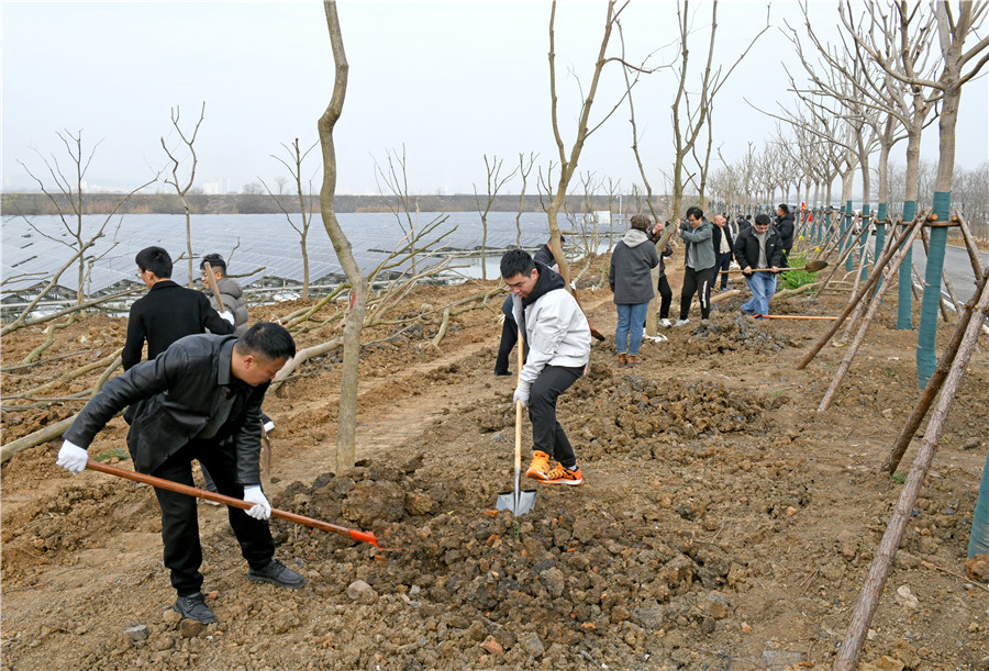 义务植树活动。