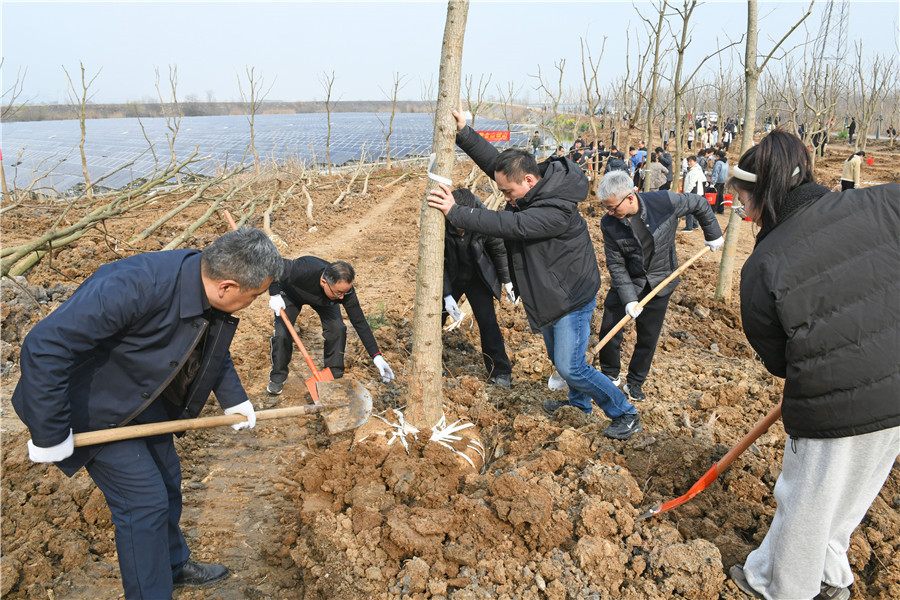 义务植树活动。