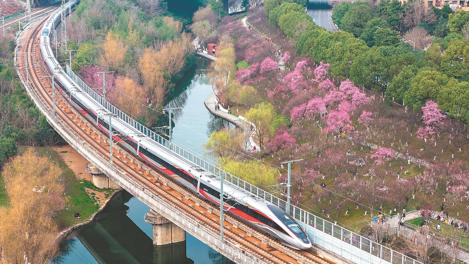 3月7日,一列動車組列車駛過合肥市蜀山區匡河公園。本報記者 張大崗 攝
