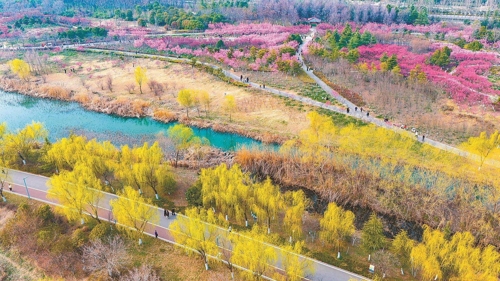 3月8日,淮北市烈山區,游客在南湖國家城市濕地公園賞景游玩。本報通訊員 張偉 攝