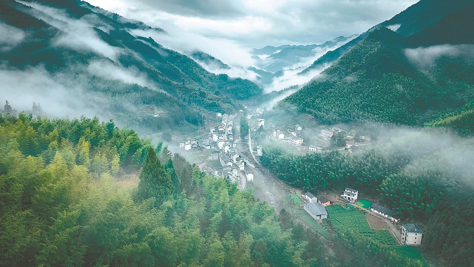 近日,歙縣獅石鄉山間晨霧繚繞,漫過竹海,將錯落分布的民居繪成景。本報通訊員 柯緯威 攝
