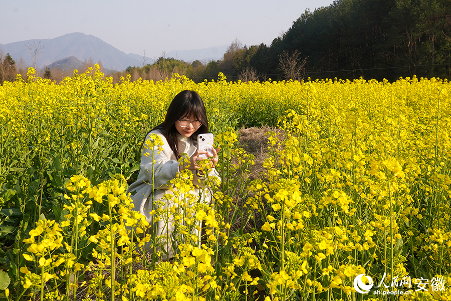游客在花海中打卡拍照。人民網記者 陳若天攝