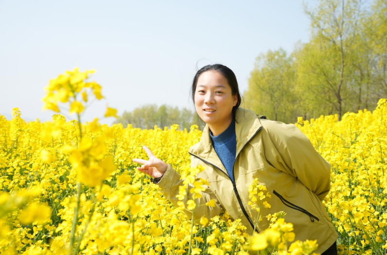 金灿灿的花海。