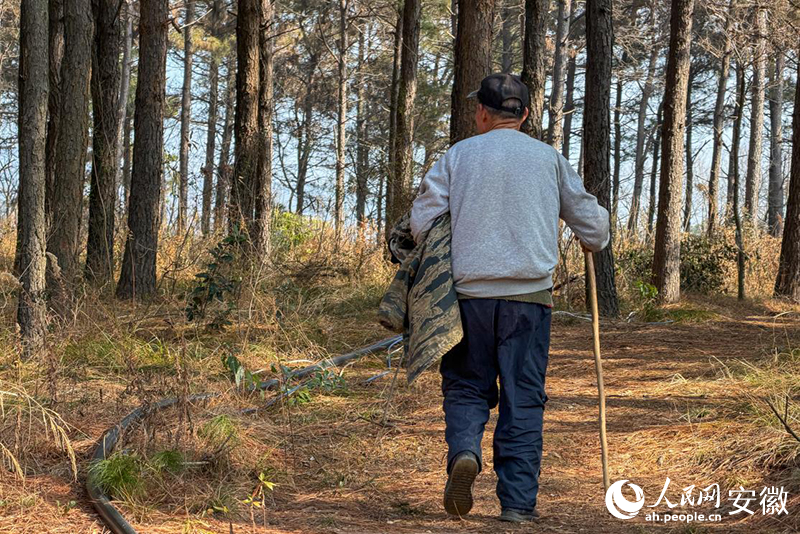 年近80岁的易厚掌，还是会时常走上西塔山。人民网记者 李希蒙摄