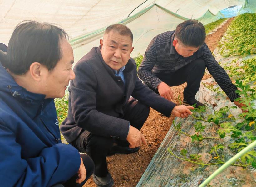 “五老”志願服務隊與種植戶面對面交流。