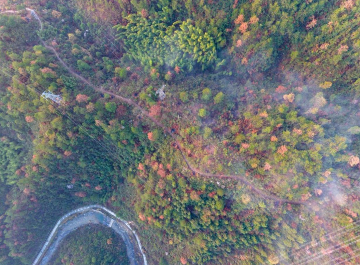 翚岭古道。章昭鑫摄