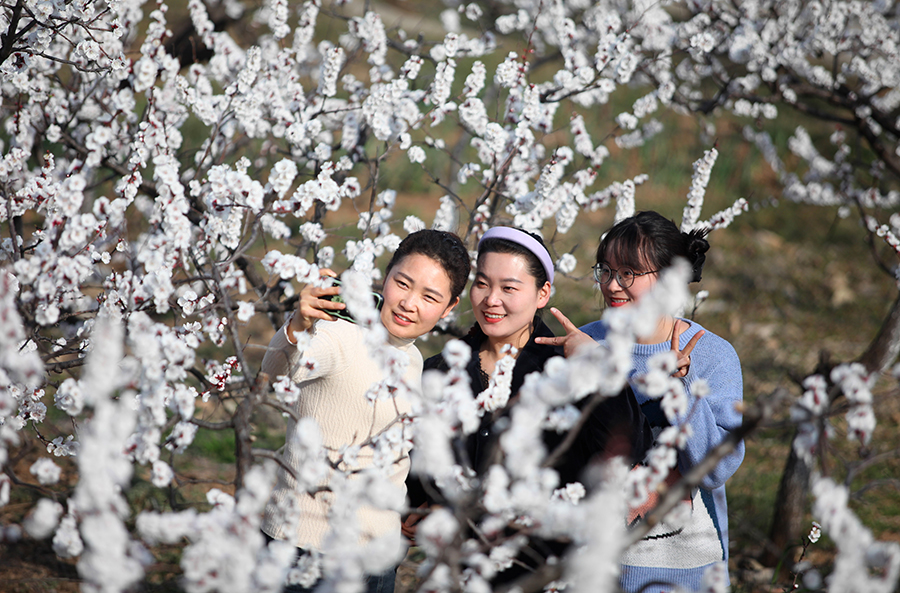游客打卡拍照。 劉棋攝