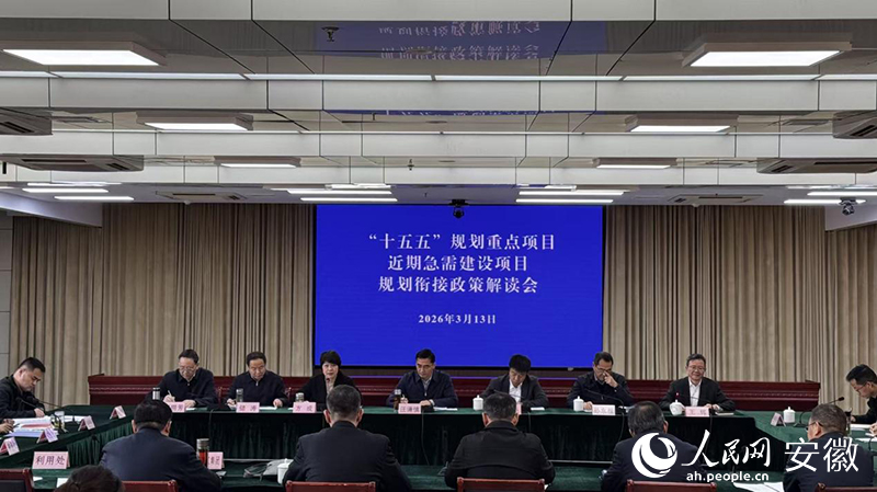 安徽省自然資源廳牽頭召開的重點項目規劃協調會。人民網記者 胡雨鬆攝