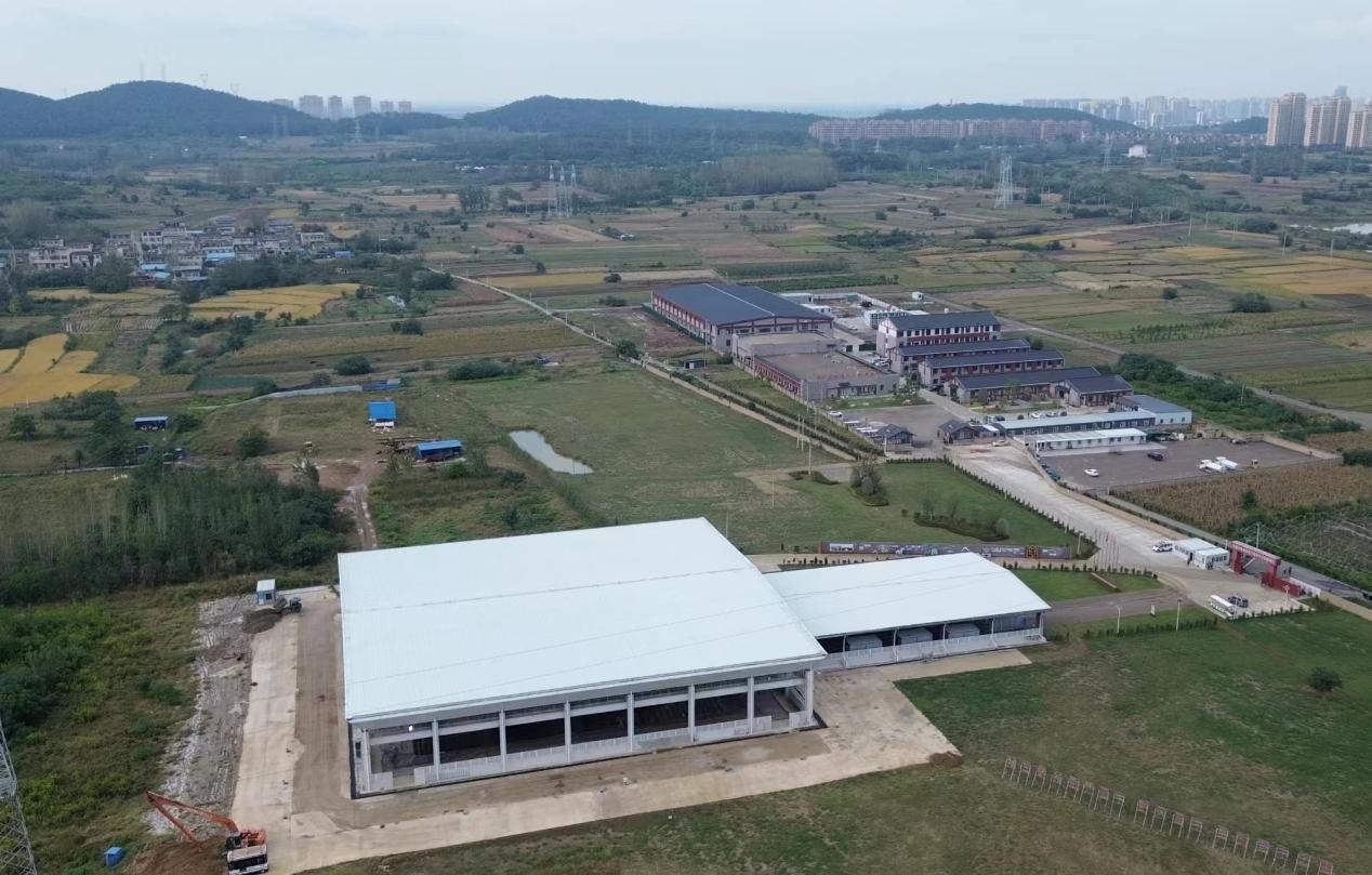 淮南市武王墩考古工作站航拍圖。安徽省自然資源廳供圖