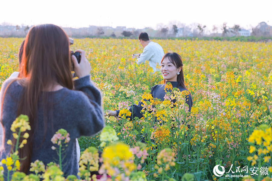 芜湖响水涧，游客在彩色油菜花田里拍照打卡。人民网记者 陶涛摄
