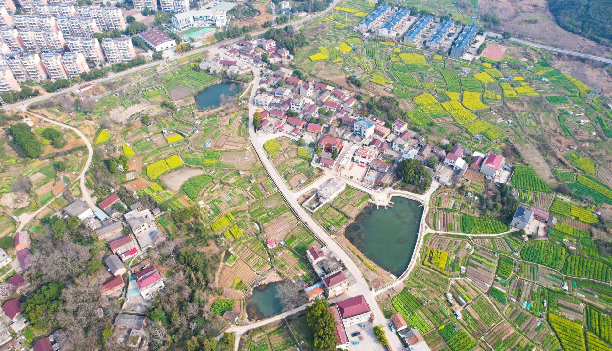 郊区大通镇金华村风景如画。汪远摄