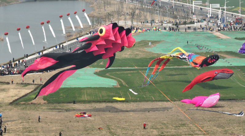 形态各异的大型软体风筝。