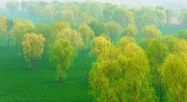 安徽銅陵：江州春色惹人醉