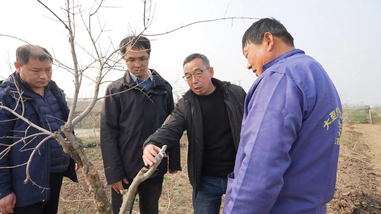 田间地头“开良方”,专家把脉正当时。