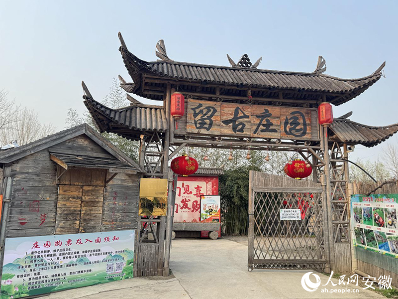 王震经营的“留古庄园”。人民网记者 吕欢欢摄