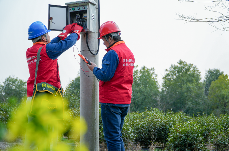 茶季保供电工作全面启动。