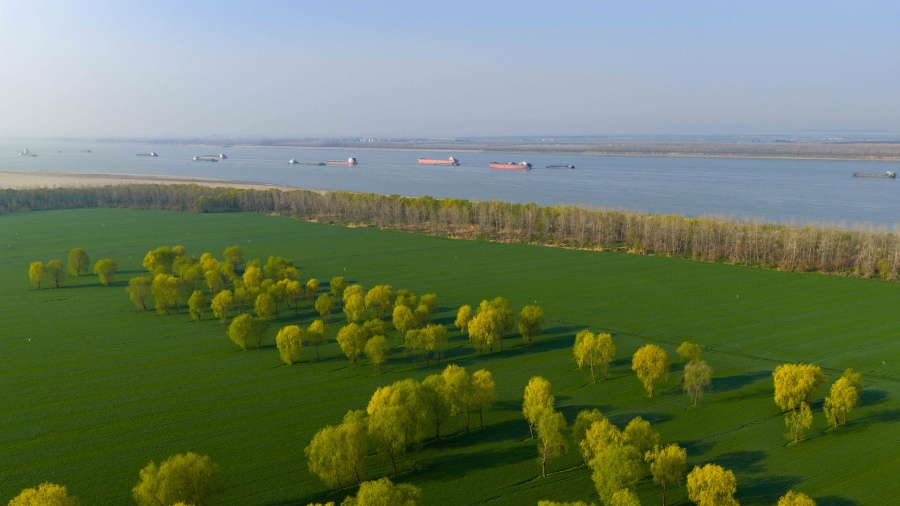 安徽铜陵：长江岸线风景如画【7】