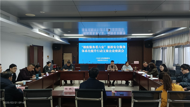 “極致服務看六安”旅游安全服務體系化行動文旅企業座談會