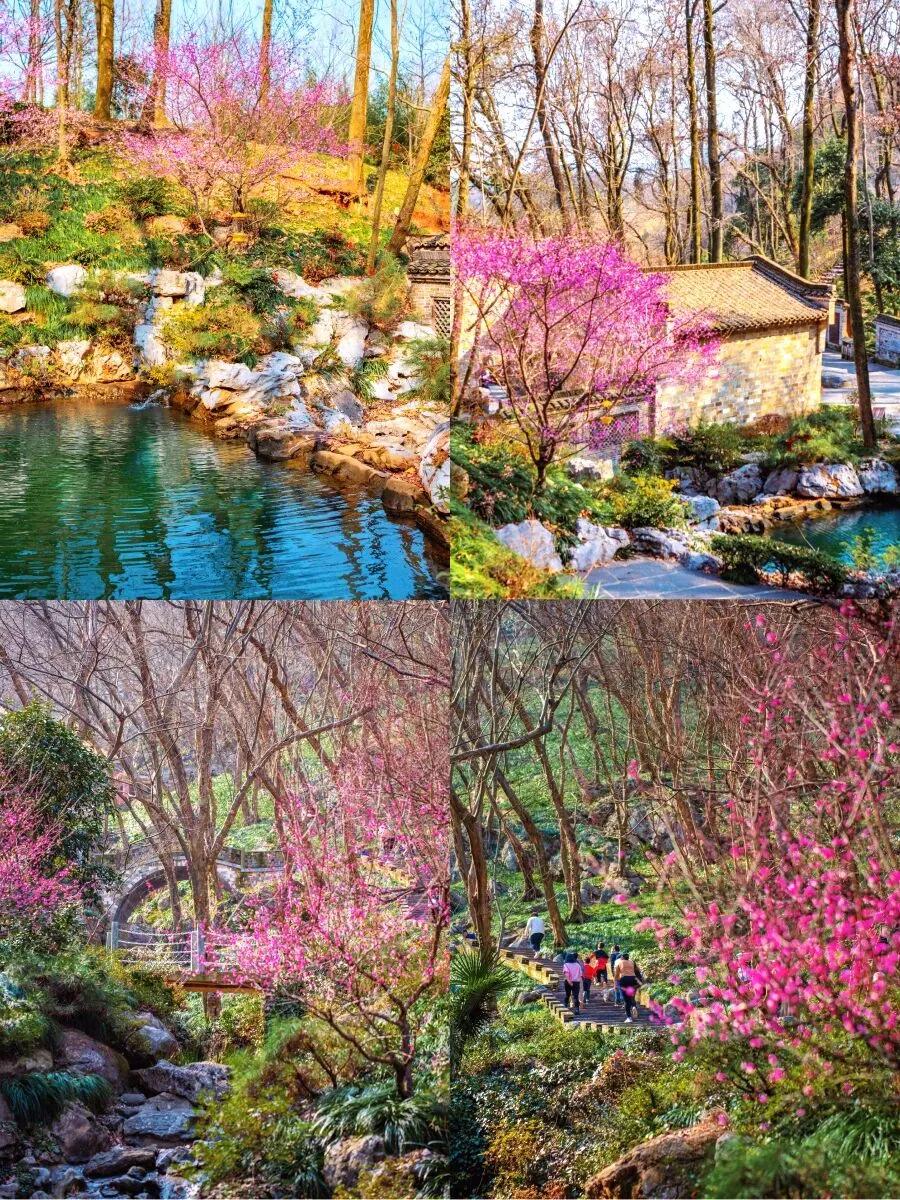 联农共富“结”硕果。